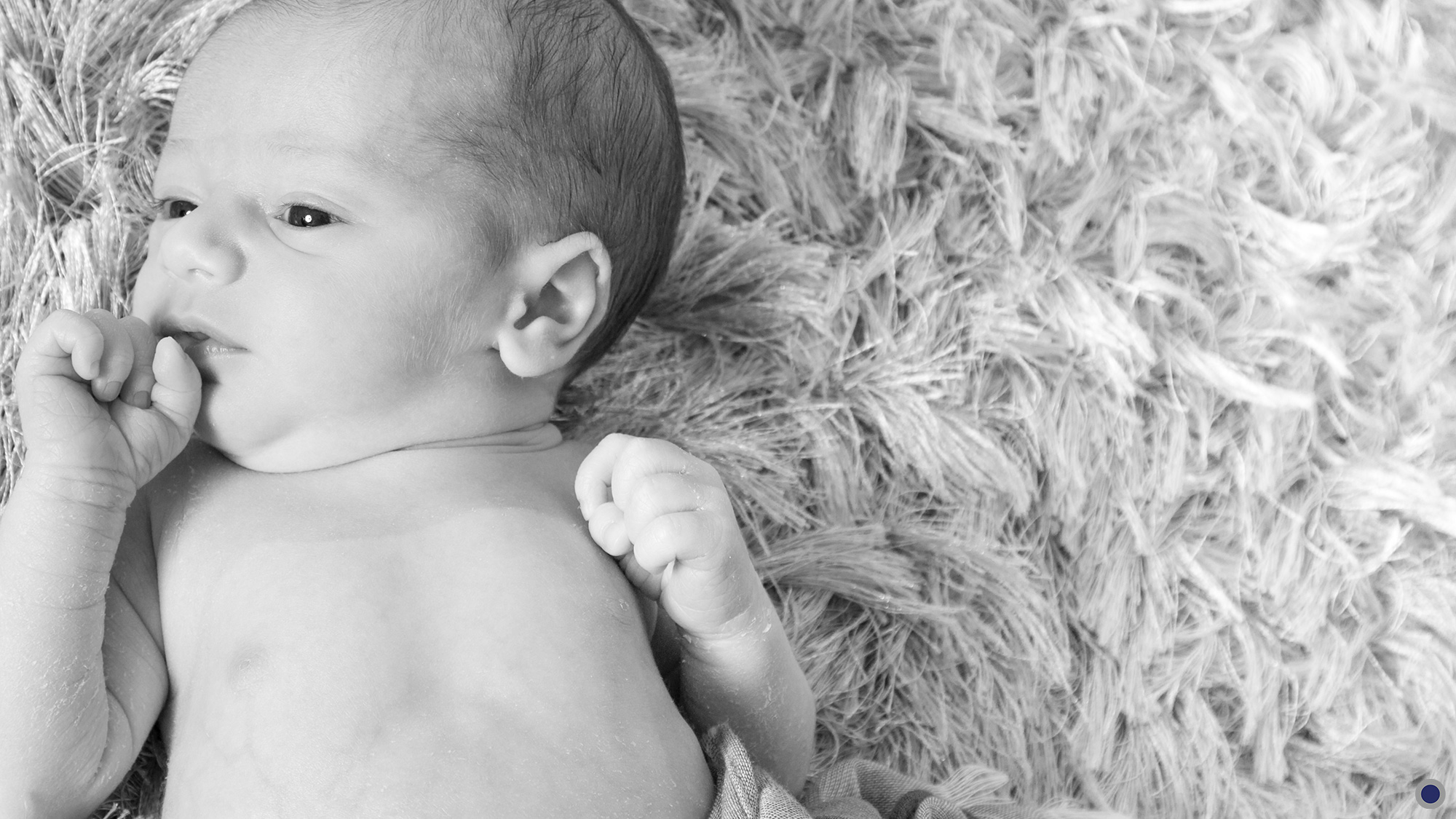 Séance photo de bébé - naissance - nouveau-né : Sacha