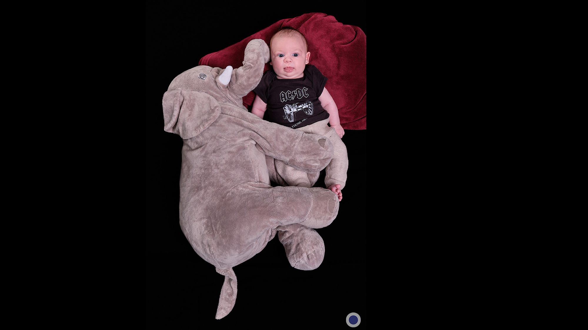 Séance photo de bébé - naissance - nouveau-né : Milo et son éléphant