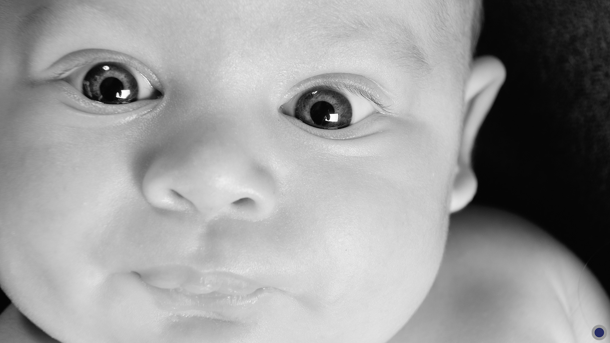 Séance photo de bébé - naissance - nouveau-né : Milo